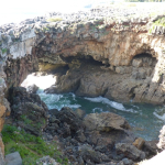 P1080094-w740_h555